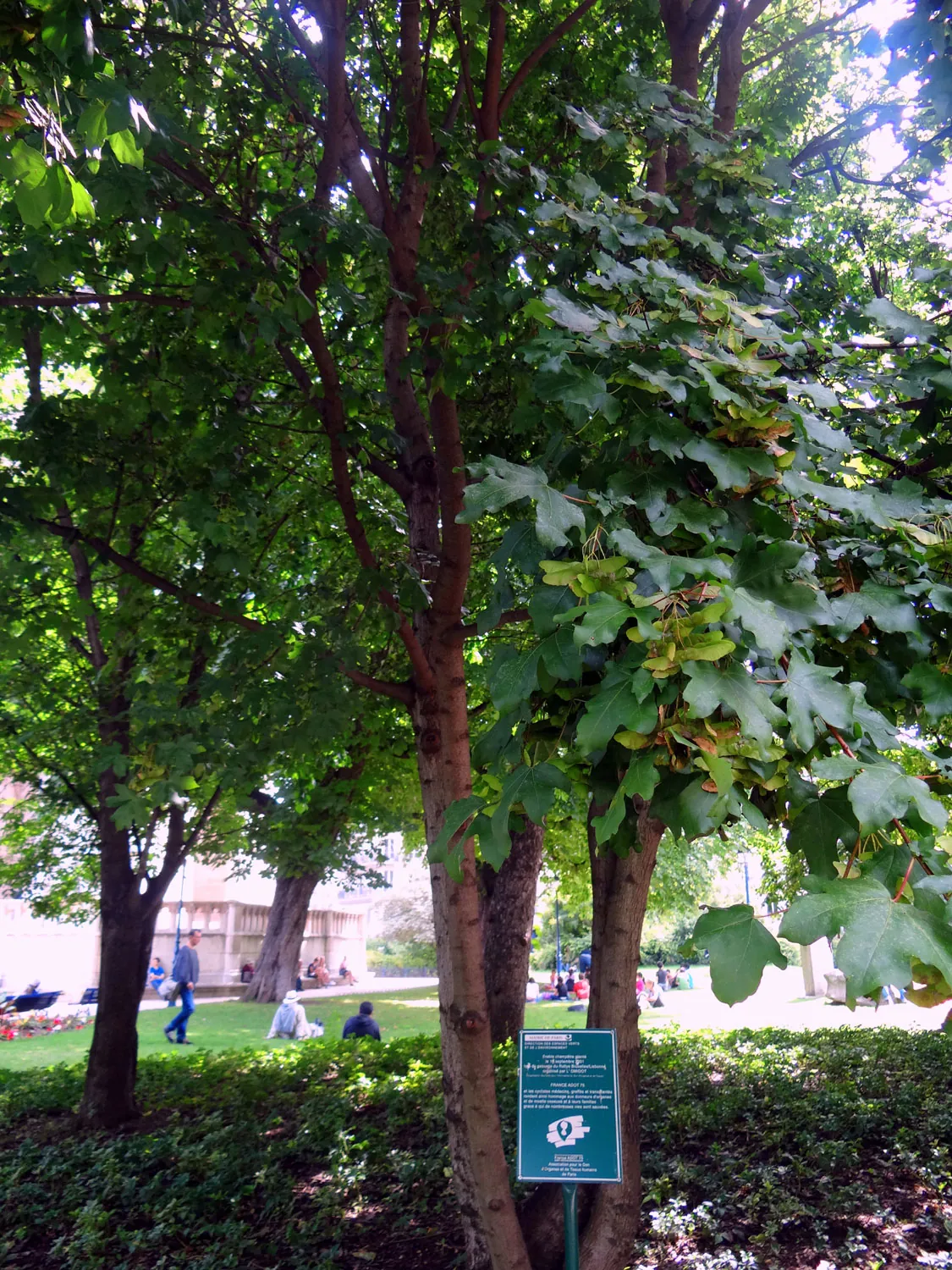 Square de la Tour Saint-Jacques