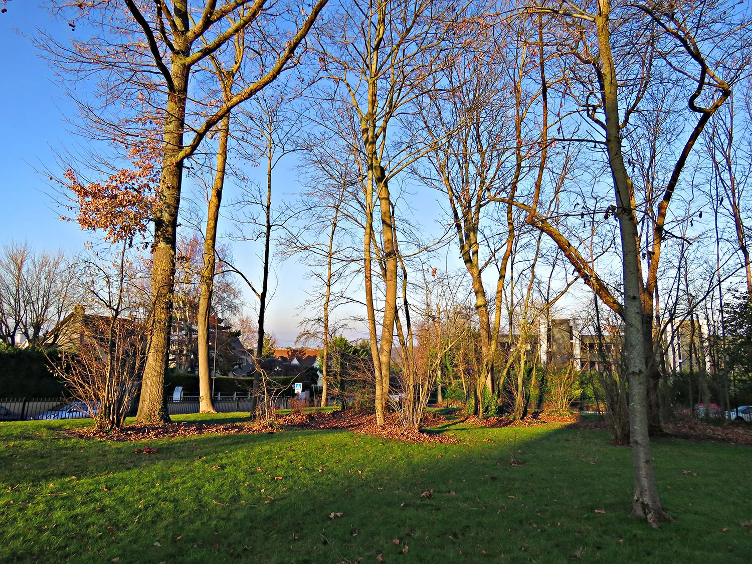 Parque Chambourcy