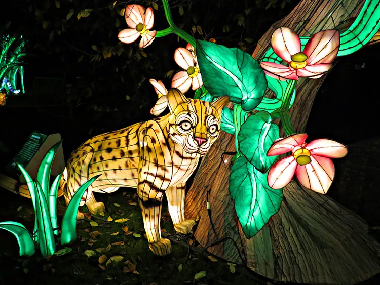 florestas